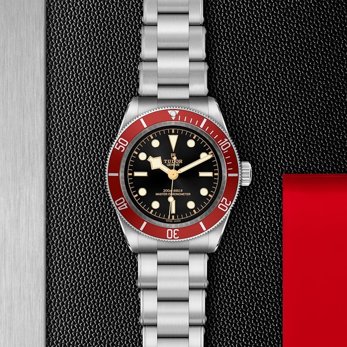 Tudor Black Bay